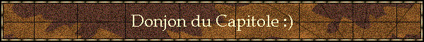 Donjon du Capitole :)