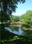 Le jardin des Ponts-Jumeaux :)