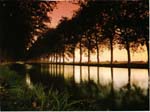 Le canal du Midi :)