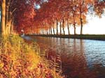 Le canal du Midi :)