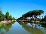 Le canal du Midi :)