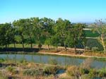 Le canal du Midi :)