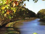 Le canal du Midi :)