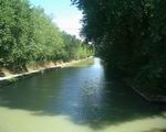 Le canal du Midi :)