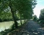 Le canal du Midi :)