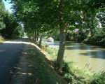 Le canal du Midi :)