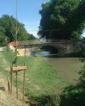 Le canal du Midi :)
