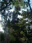 Le Donjon du Capitole :)